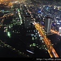 0432.landmark tower_sky garden-港區未來21.jpg