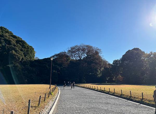 日本旅遊||東京 神燈假期 日本機場接送推薦以及明治神宮、淺