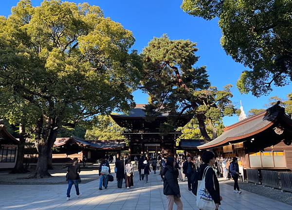 日本旅遊||東京 神燈假期 日本機場接送推薦以及明治神宮、淺