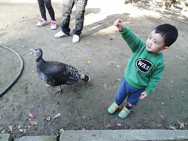 2014/12月～2Y兔樂園