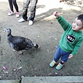 2014/12月～2Y兔樂園