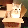DSC00336