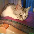DSC00281