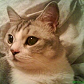 DSC00217
