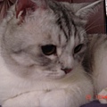DSC03080