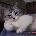 DSC03091