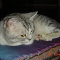 DSC03078