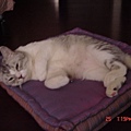 DSC03065