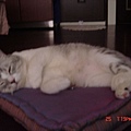 DSC03066