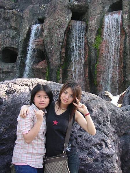 小黑豬 和小芋頭