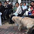 DSC07838.JPG