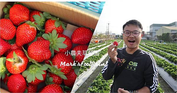 【台中大里】小農夫草莓園/城市中的小綠地