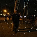 台中文心森林公園燈會星光點點.jpg