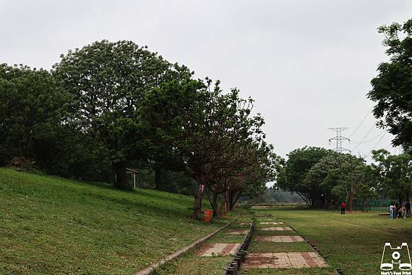 大肚溪棒壘球場與大草地.jpg