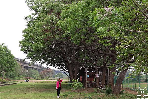 大肚溪棒壘球場與大草地與脖子痛馬克媽2.jpg