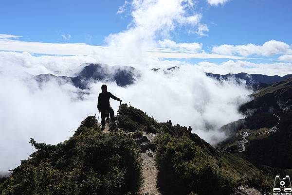 合歡山北峰21.jpg