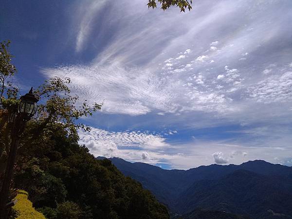 青春浮雲