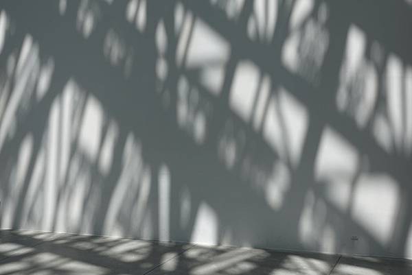 DSC00255.JPG DSC00255.JPG