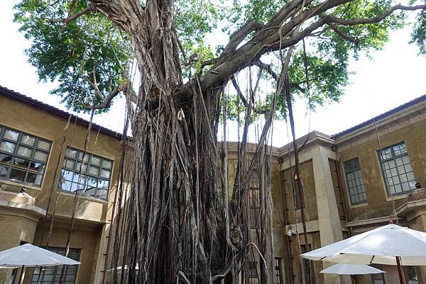 DSC00266.JPG DSC00266.JPG