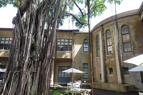 DSC00268.JPG DSC00268.JPG