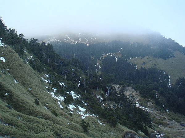 20100128清境合歡山梨山 021.jpg