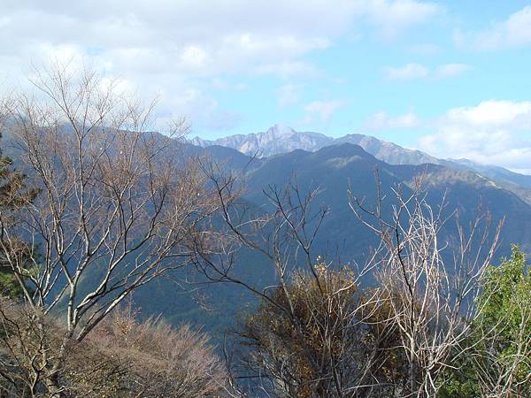 20100128清境合歡山梨山 009.jpg