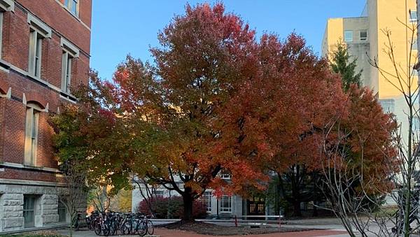 美國風情_191208_0009-1.jpg 美國風情_191208_0009-1.jpg