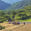 20140716_164157_東園一街_Richtone(HDR).jpg