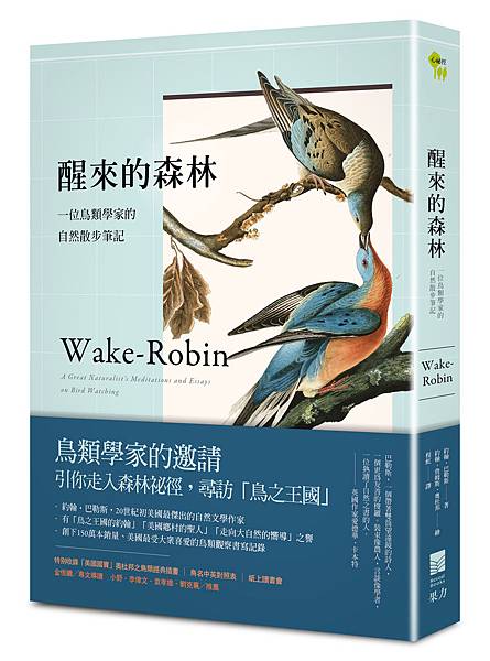 醒來的森林＿立體書封＋書腰_建檔版