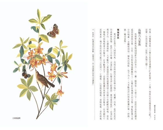 醒來的森林_內頁2 醒來的森林_內頁2