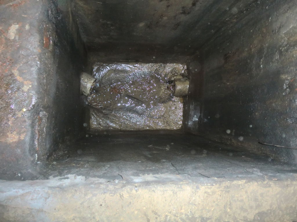 CIMG3476.JPG CIMG3476.JPG