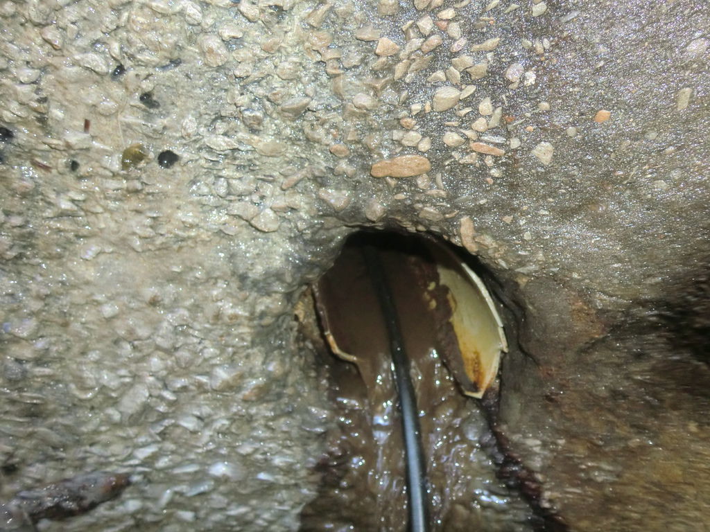 CIMG3506.JPG CIMG3506.JPG