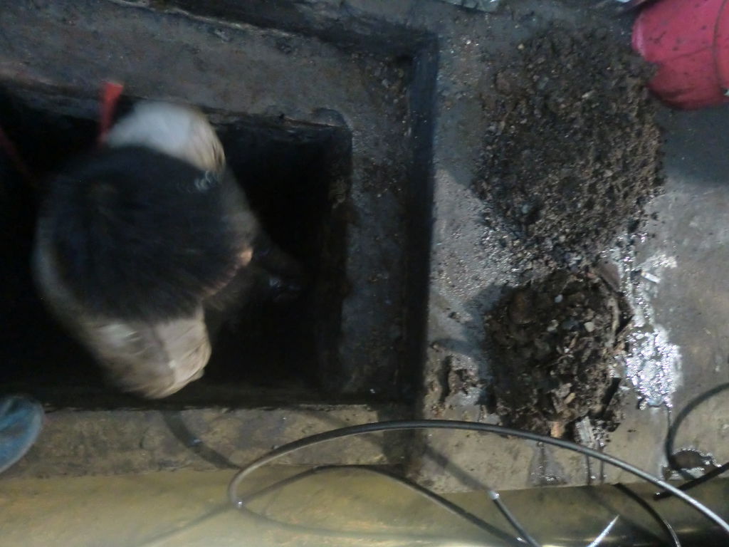 CIMG3516.JPG CIMG3516.JPG