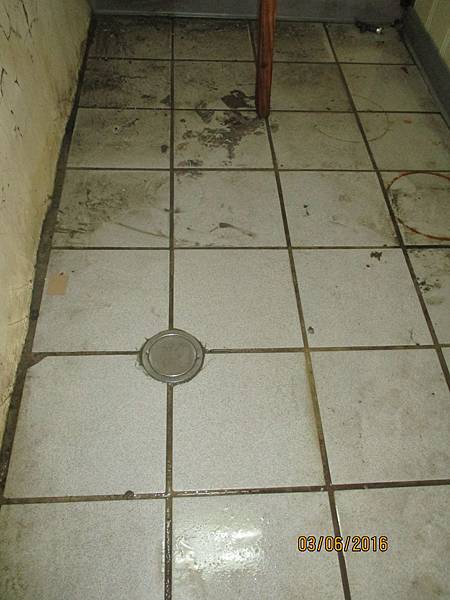 IMG_1152.JPG IMG_1152.JPG