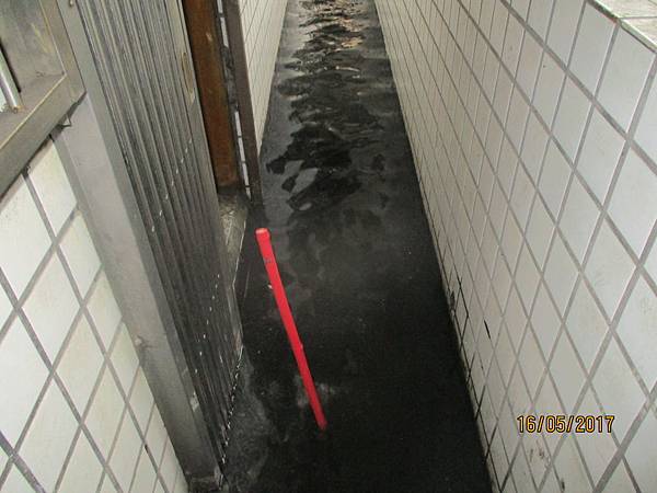 IMG_1568.JPG IMG_1568.JPG