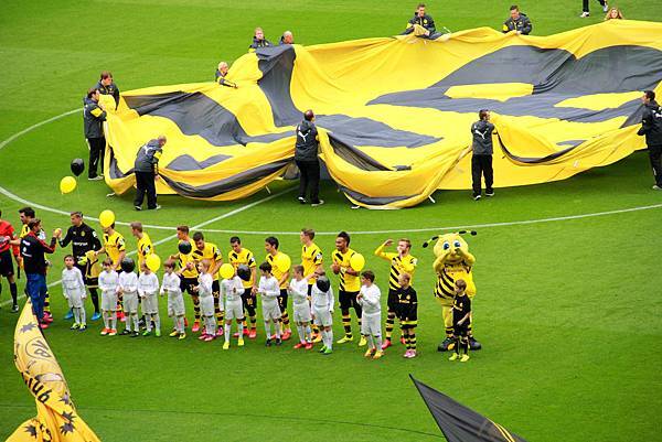 bvb-40.JPG