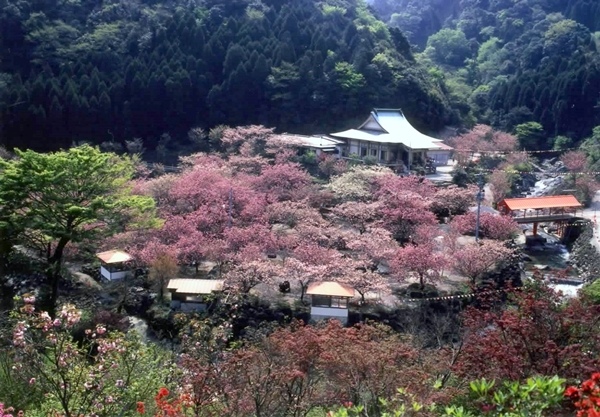 一心寺.jpg