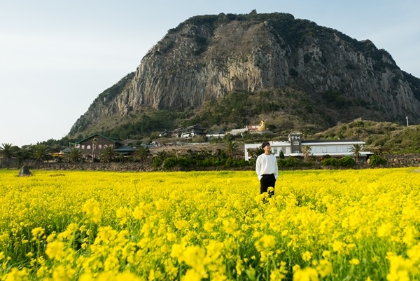 山房山.jpg 山房山.jpg