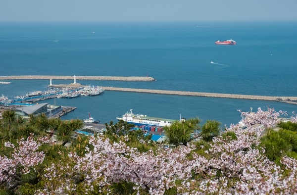 沙羅峰276.jpg 沙羅峰276.jpg