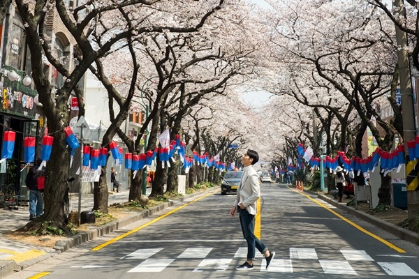 典農路.jpg 典農路.jpg