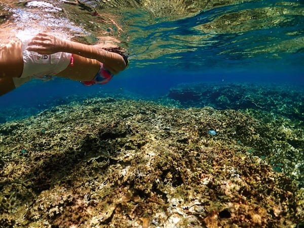Eco Tourism5.jpg Eco Tourism5.jpg