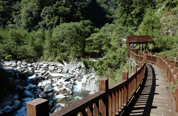八仙山-天籟步道.JPG 八仙山-天籟步道.JPG