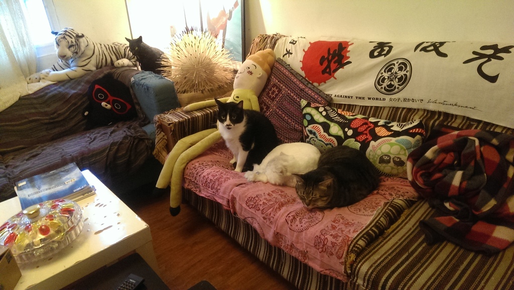 IMAG7448.jpg IMAG7448.jpg