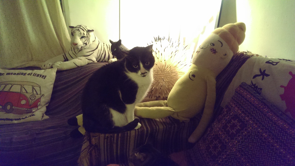 IMAG7476.jpg IMAG7476.jpg