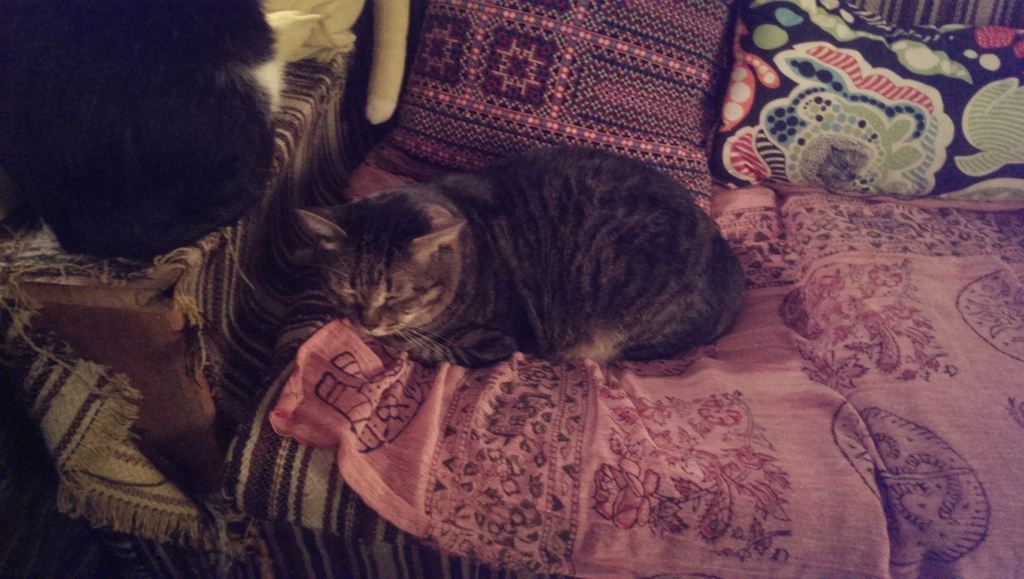 IMAG7477.jpg IMAG7477.jpg