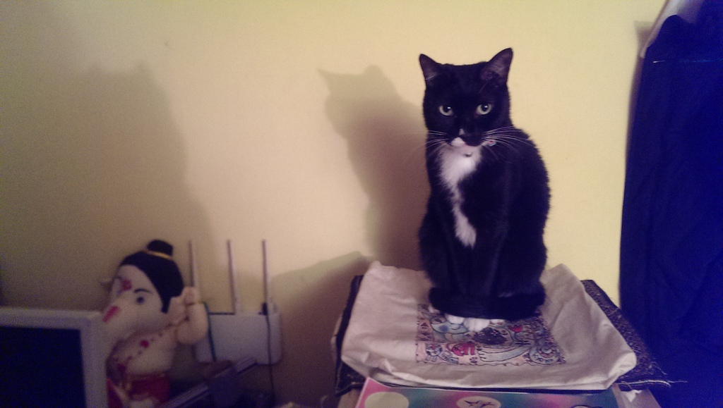 IMAG7478.jpg IMAG7478.jpg