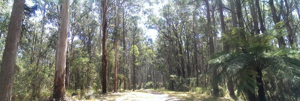 12469559_10208403194418658_7427844065059838915_o.jpg 12469559_10208403194418658_7427844065059838915_o.jpg