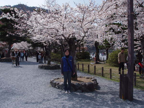 藍山渡月橋 11