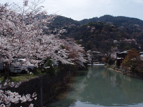 藍山渡月橋 14