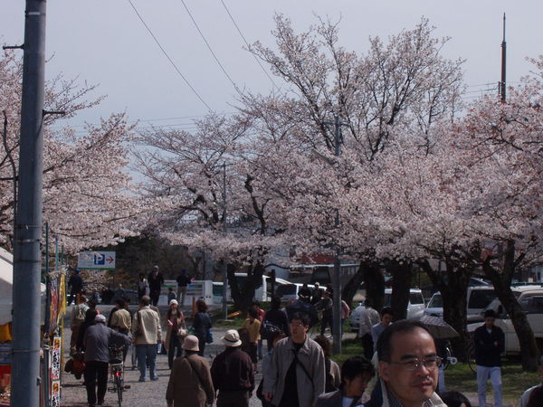 藍山渡月橋 22